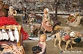 VBS_8405 - Presepe Chiesa di Martinetta Natale 2024